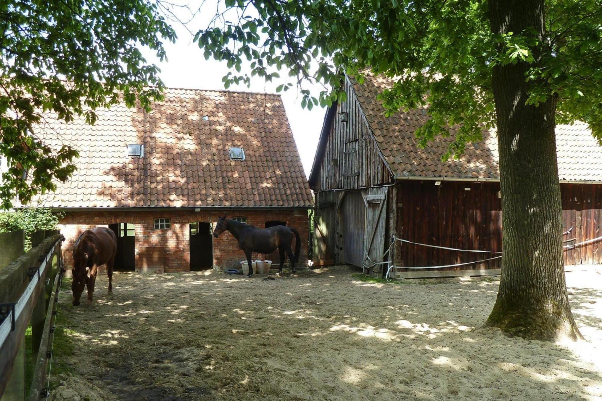 Ferienwohnung In Dorfmark ภายนอก รูปภาพ