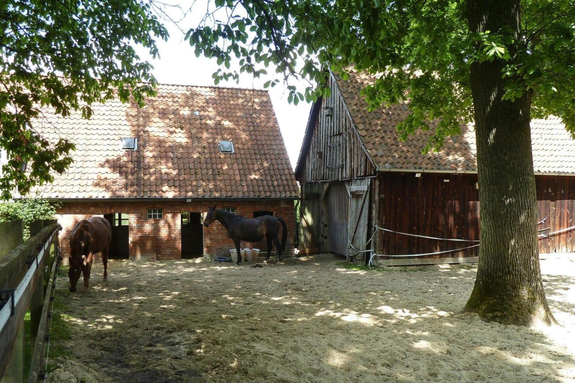 Ferienwohnung In Dorfmark ภายนอก รูปภาพ